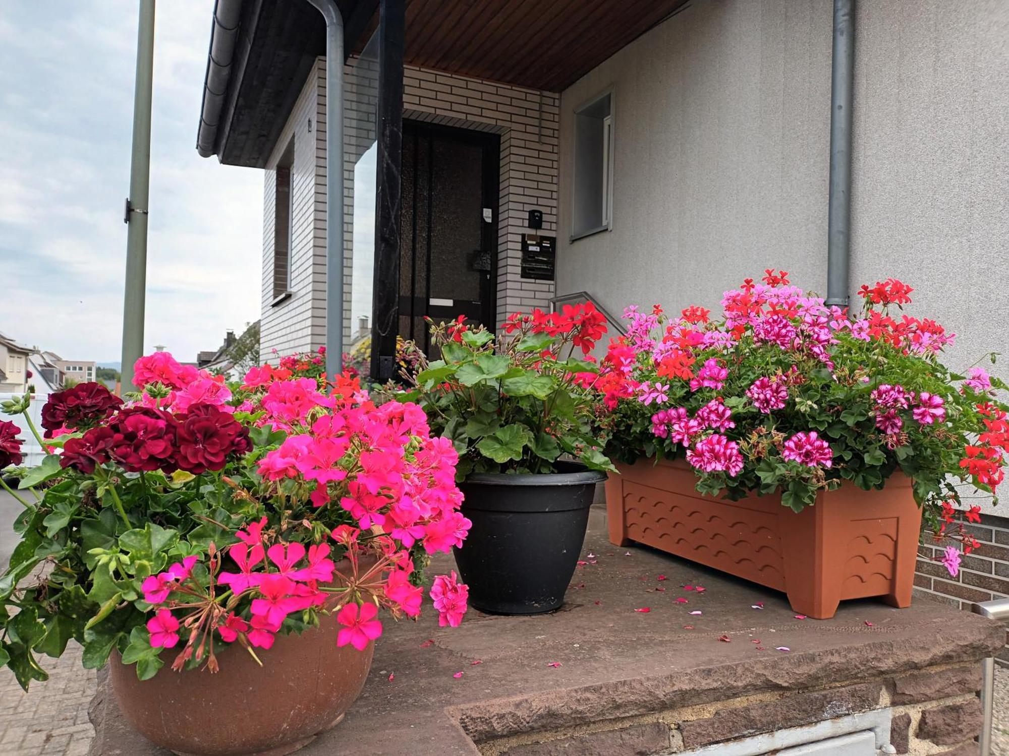 Ferienwohnung Kassel - 2 Kültér fotó
